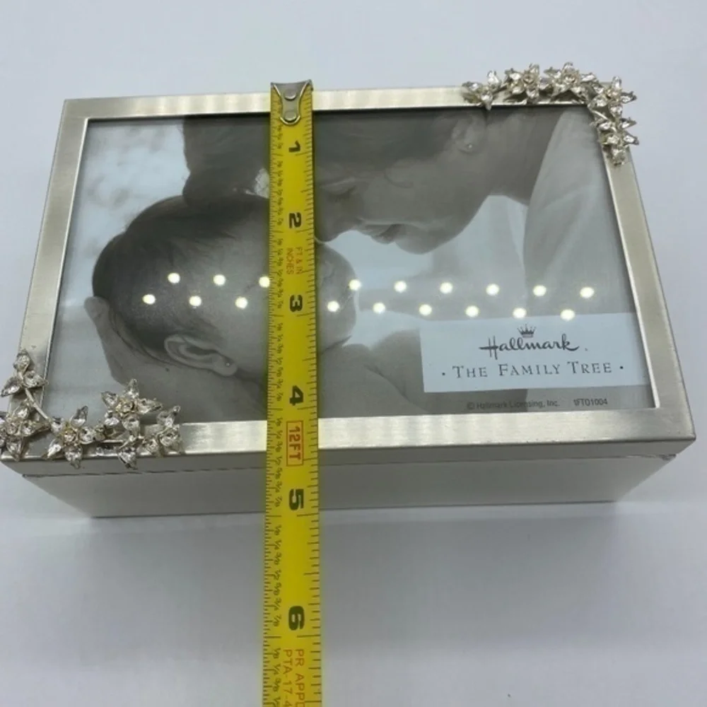 Hallmark The Family Tree Treasure Box/Trinket Box With Framed Top
